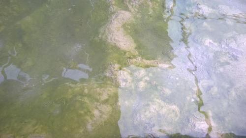 Hotel Terme Belvedere Abano Terme Eksteriør billede