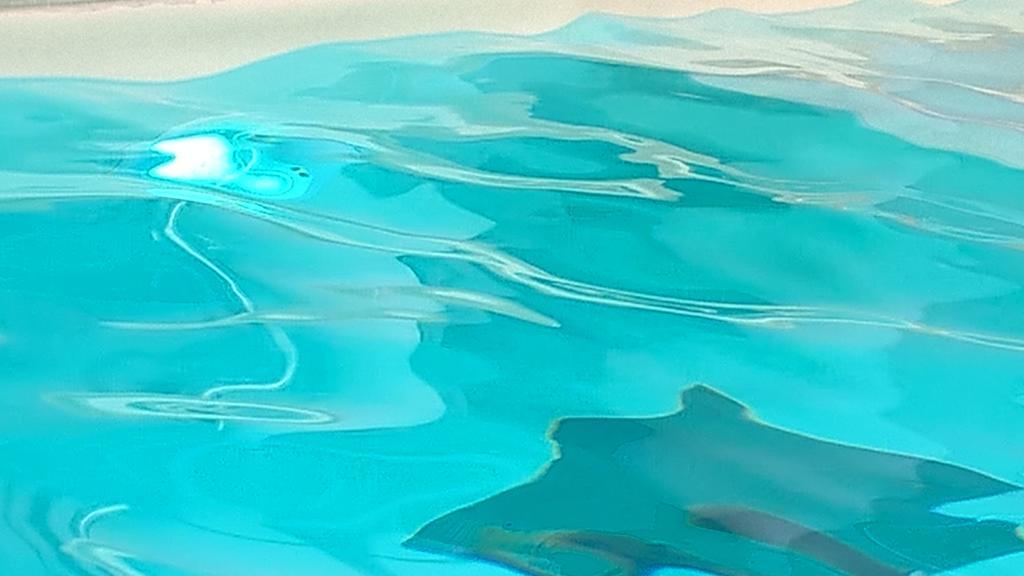 Hotel Terme Belvedere Abano Terme Eksteriør billede